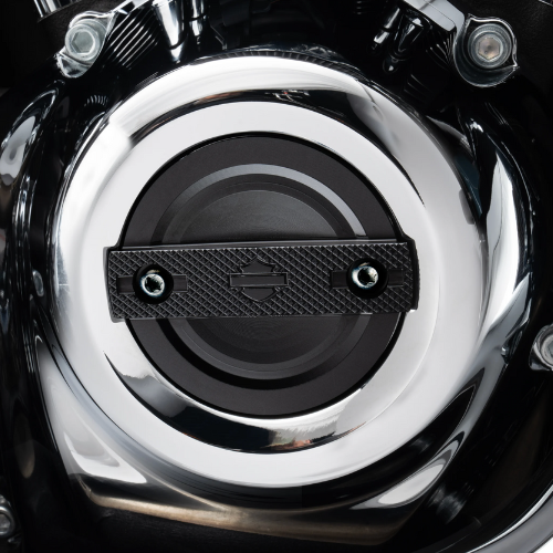 Timer Cover Harley-Davidson Switchback 25600165